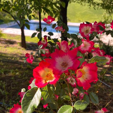 Agriturismo San Fabio Castelnuovo Berardenga Bagian luar foto