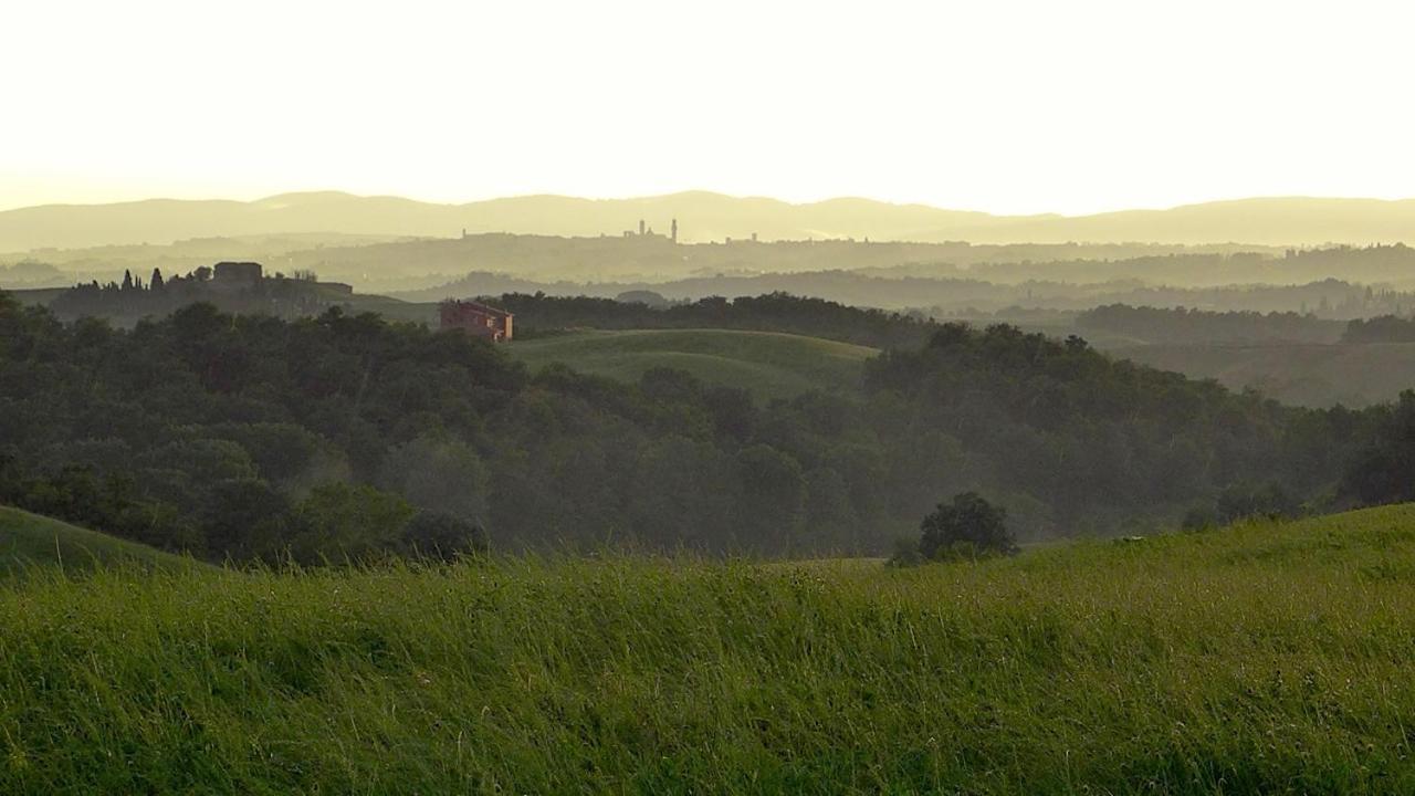 Agriturismo San Fabio Castelnuovo Berardenga Bagian luar foto